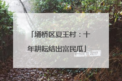 埇桥区夏王村：十年耕耘结出富民瓜