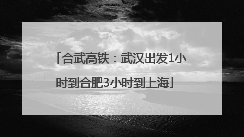 合武高铁：武汉出发1小时到合肥3小时到上海