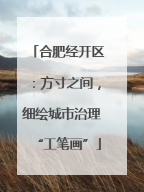 合肥经开区：方寸之间，细绘城市治理“工笔画”