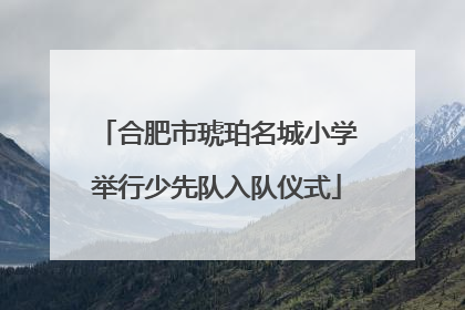 合肥市琥珀名城小学举行少先队入队仪式
