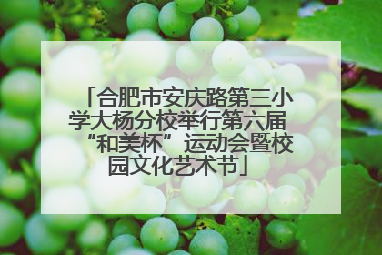 合肥市安庆路第三小学大杨分校举行第六届“和美杯”运动会暨校园文化艺术节