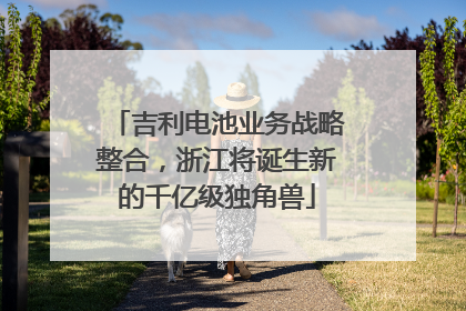 吉利电池业务战略整合，浙江将诞生新的千亿级独角兽