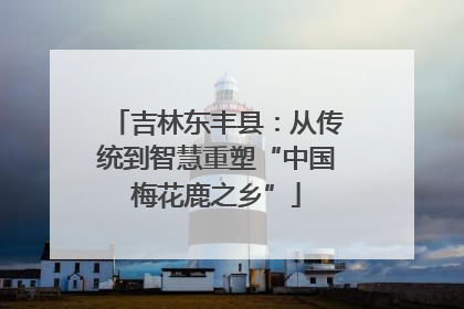 吉林东丰县：从传统到智慧重塑“中国梅花鹿之乡”