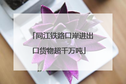 同江铁路口岸进出口货物超千万吨