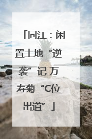 同江：闲置土地“逆袭”记 万寿菊“C位出道”