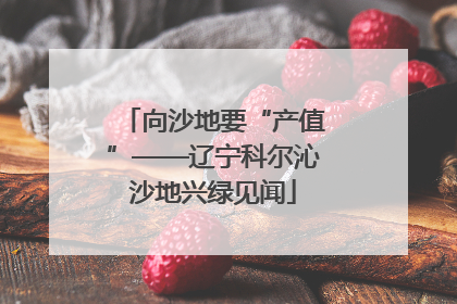 向沙地要“产值”——辽宁科尔沁沙地兴绿见闻