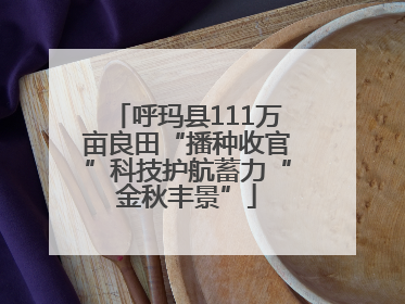 呼玛县111万亩良田“播种收官”科技护航蓄力“金秋丰景”