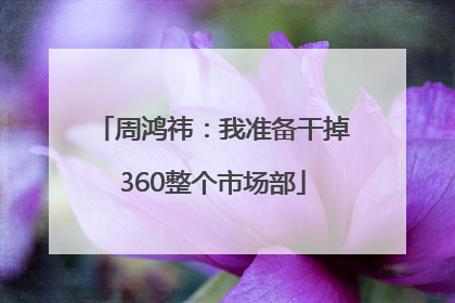 周鸿祎：我准备干掉360整个市场部
