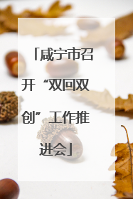 咸宁市召开“双回双创”工作推进会