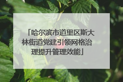 哈尔滨市道里区斯大林街道党建引领网格治理提升管理效能