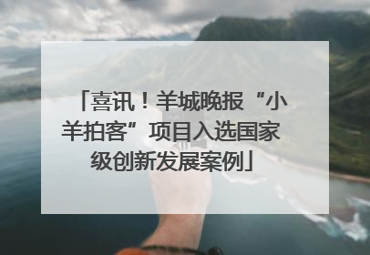 喜讯！羊城晚报“小羊拍客”项目入选国家级创新发展案例