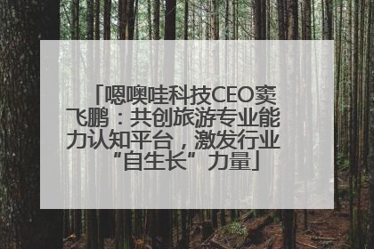 嗯噢哇科技CEO窦飞鹏：共创旅游专业能力认知平台，激发行业“自生长”力量