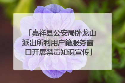 嘉祥县公安局卧龙山派出所利用户籍服务窗口开展禁毒知识宣传