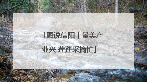 图说信阳｜景美产业兴 莲蓬采摘忙