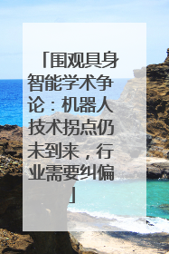 围观具身智能学术争论：机器人技术拐点仍未到来，行业需要纠偏