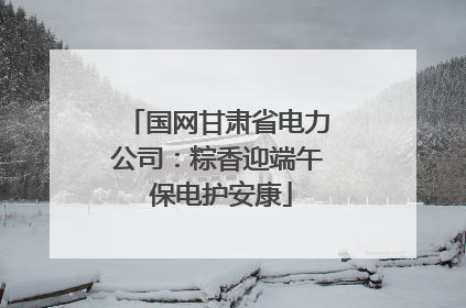 国网甘肃省电力公司：粽香迎端午 保电护安康