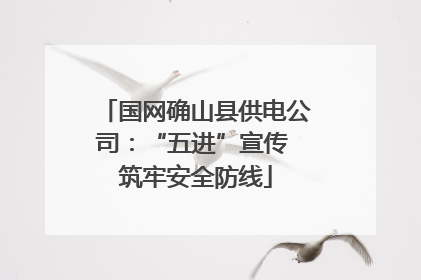 国网确山县供电公司：“五进”宣传 筑牢安全防线