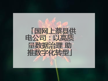 国网上蔡县供电公司：以高质量数据治理 助推数字化转型
