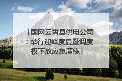 国网云霄县供电公司：举行迎峰度夏暨调度权下放应急演练