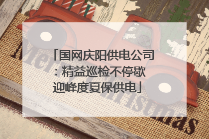 国网庆阳供电公司：精益巡检不停歇 迎峰度夏保供电