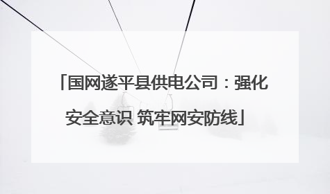 国网遂平县供电公司：强化安全意识 筑牢网安防线