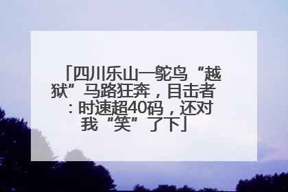 四川乐山一鸵鸟“越狱”马路狂奔，目击者：时速超40码，还对我“笑”了下