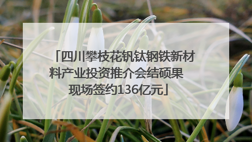 四川攀枝花钒钛钢铁新材料产业投资推介会结硕果 现场签约136亿元