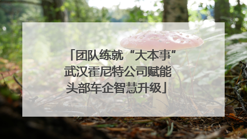 团队练就“大本事” 武汉霍尼特公司赋能头部车企智慧升级