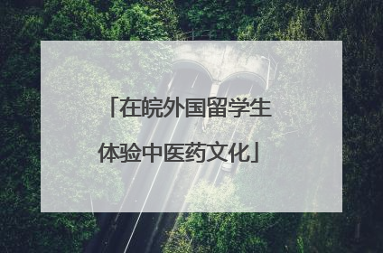 在皖外国留学生体验中医药文化