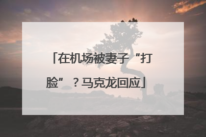 在机场被妻子“打脸”？马克龙回应