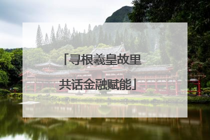 寻根羲皇故里 共话金融赋能