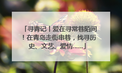 寻青记丨爱在寻常巷陌间！在青岛走街串巷，找寻历史、文艺、爱情……