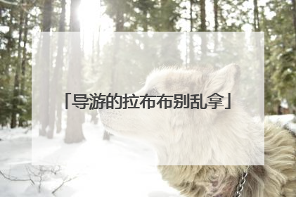 导游的拉布布别乱拿