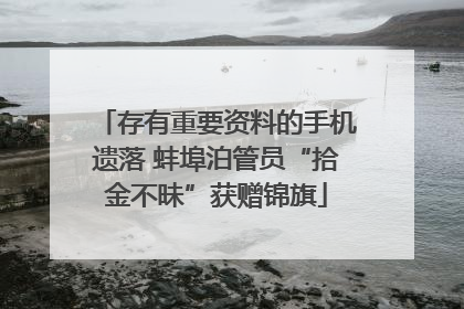存有重要资料的手机遗落 蚌埠泊管员“拾金不昧”获赠锦旗