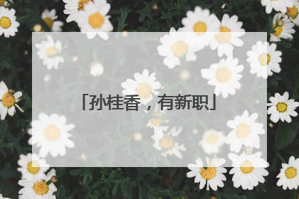 孙桂香，有新职