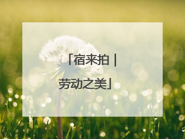 宿来拍｜劳动之美
