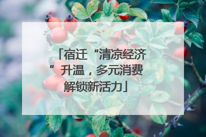 宿迁“清凉经济”升温，多元消费解锁新活力