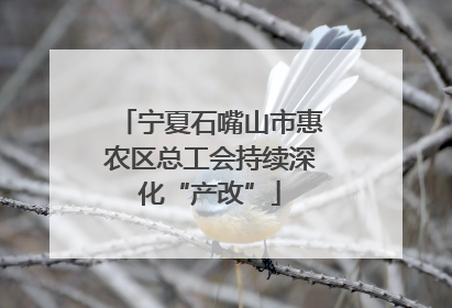 宁夏石嘴山市惠农区总工会持续深化“产改”