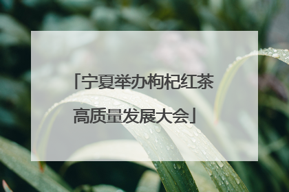 宁夏举办枸杞红茶高质量发展大会