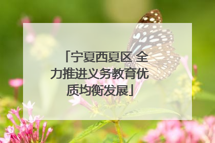 宁夏西夏区 全力推进义务教育优质均衡发展