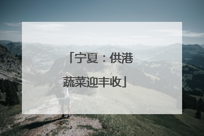 宁夏：供港蔬菜迎丰收