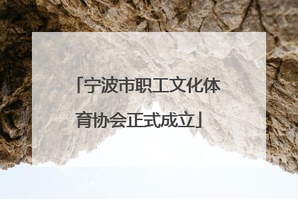 宁波市职工文化体育协会正式成立