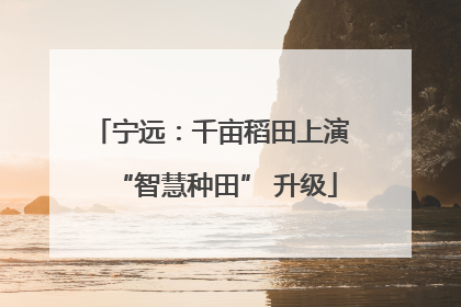 宁远：千亩稻田上演 “智慧种田” 升级