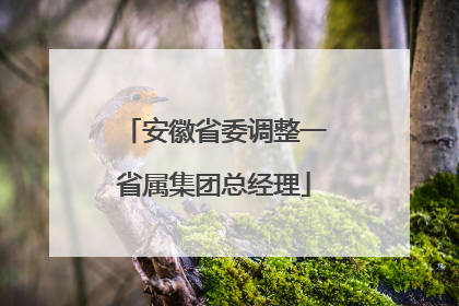 安徽省委调整一省属集团总经理