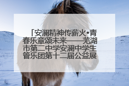 安澜精神传薪火•青春乐章颂未来——芜湖市第二中学安澜中学生管乐团第十二届公益展演圆满举行