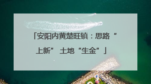 安阳内黄楚旺镇：思路“上新” 土地“生金”