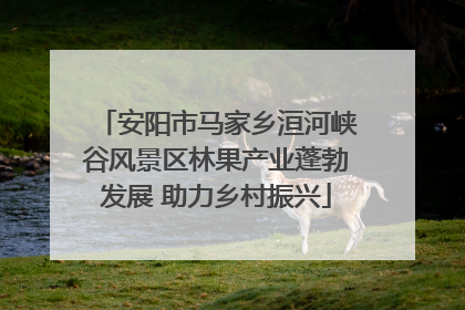 安阳市马家乡洹河峡谷风景区林果产业蓬勃发展 助力乡村振兴
