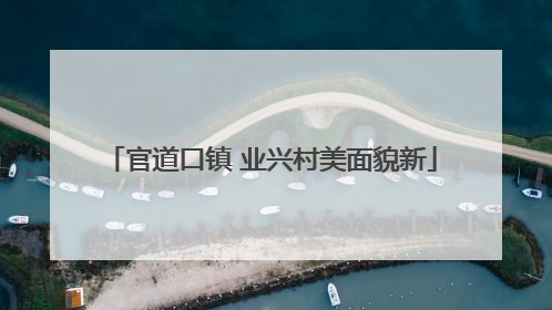 官道口镇 业兴村美面貌新