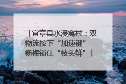 宜章县水浸窝村：双物流按下“加速键” 杨梅锁住“枝头鲜”