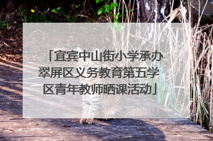 宜宾中山街小学承办翠屏区义务教育第五学区青年教师晒课活动